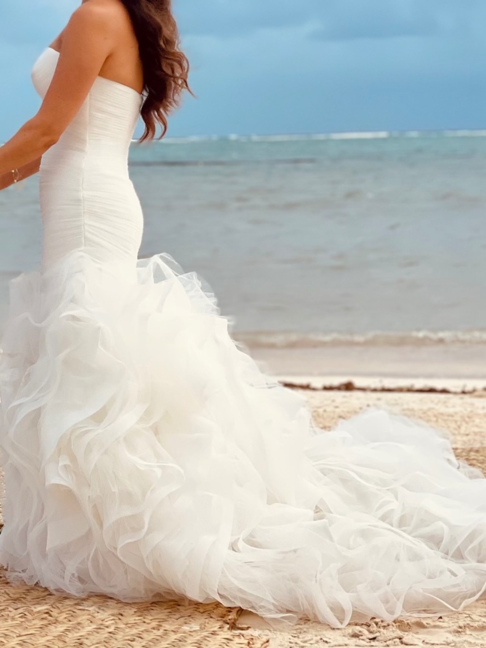 Pronovias Mildred Wedding Gown